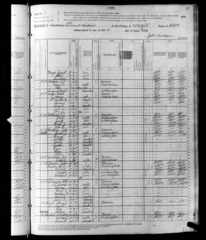 Oliver Perry McIntire (1853) - 1880 Census