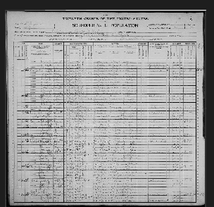 Oliver Perry McIntire (1853) - 1900 Census