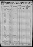 1860 Census - Multiple Nanney Families