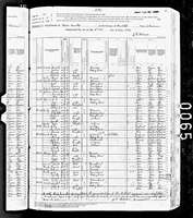 1880 Census - Truby, Michael & Family